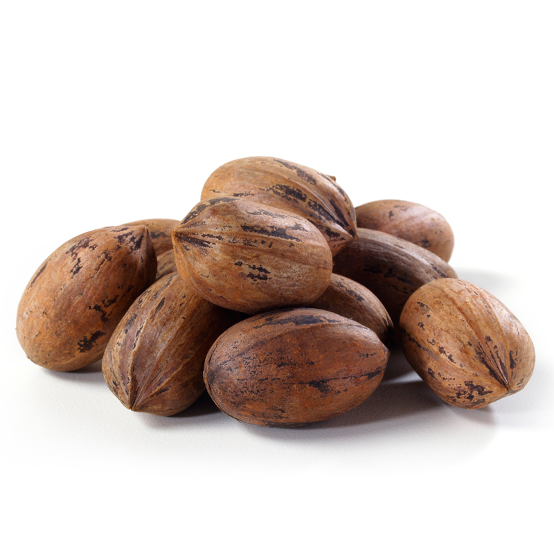INSHELL PECAN NUTS