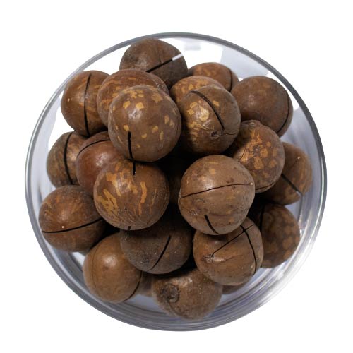 INSHELL MACADAMIA NUTS